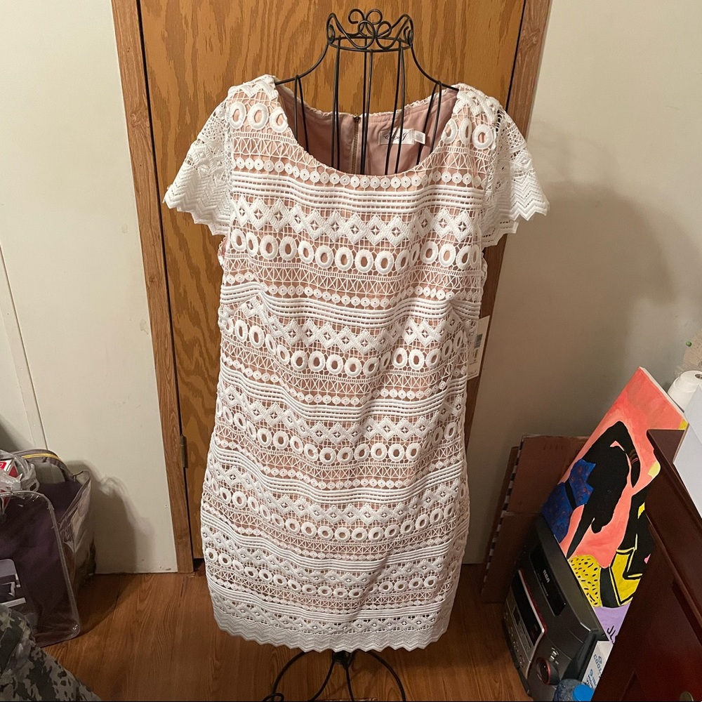 Eliza J lace dress